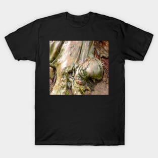 Tree root, Mornington T-Shirt